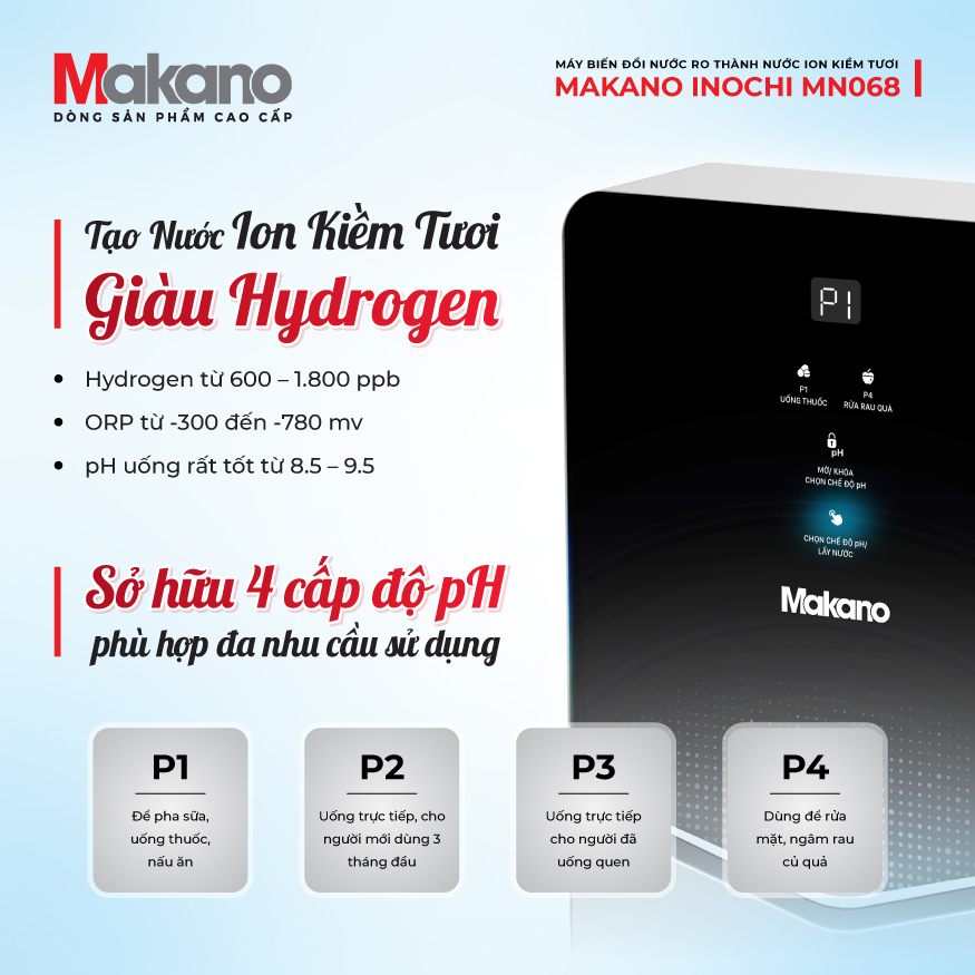 Máy biến đổi nước RO thành nước ion kiềm tươi Makano MN068