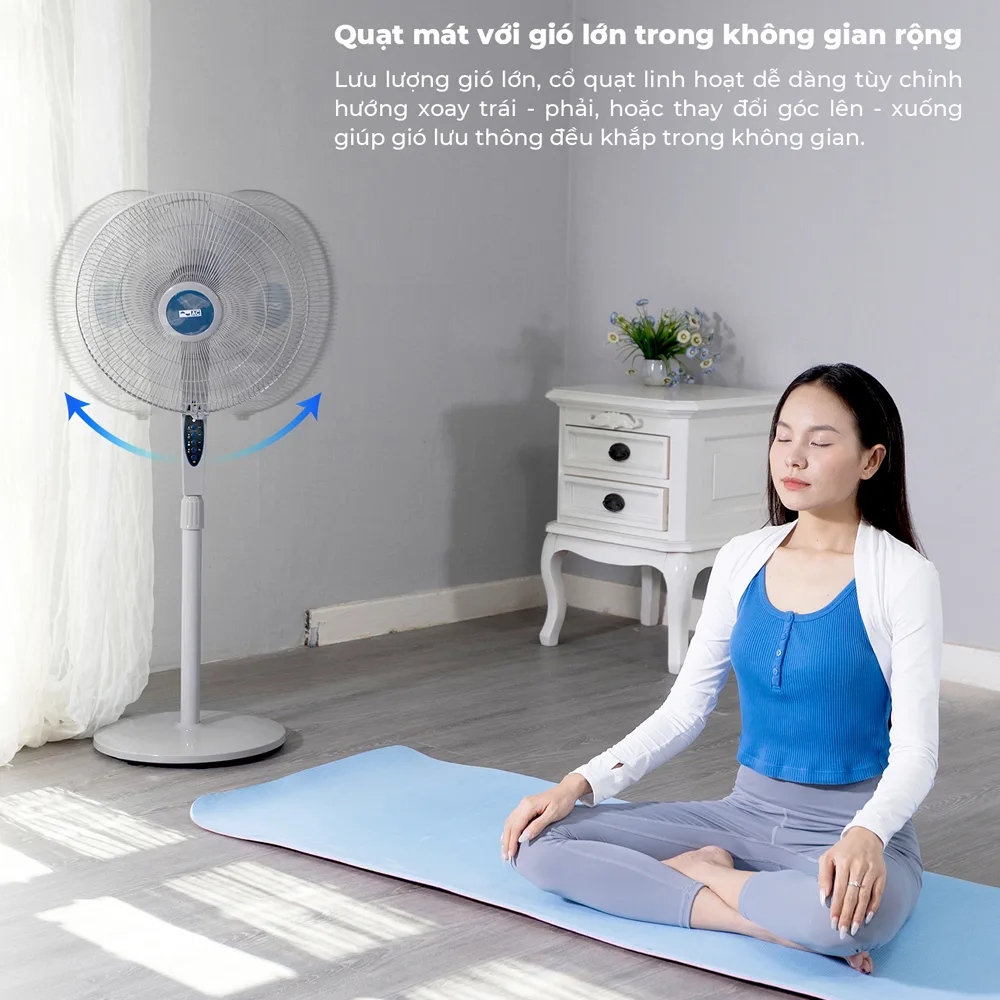 Quạt đứng AC ASF06A163