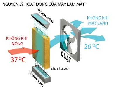 Máy làm mát công nghiệp Daikiosan DM307 (1 hướng thổi)