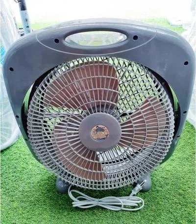Quạt Chinghai hộp BF168