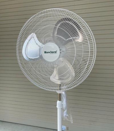 Quạt đứng công nghiệp Ha.winco HS20-50 (màu trắng)