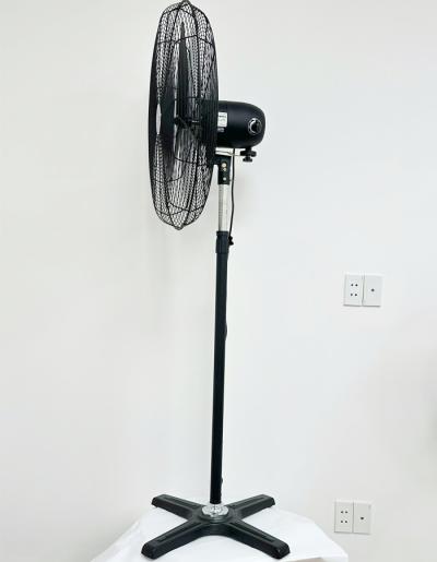 Quạt đứng công nghiệp Hasaki HH-HFD600