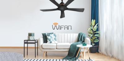 Quạt trần 5 cánh Panasonic F-60DHN