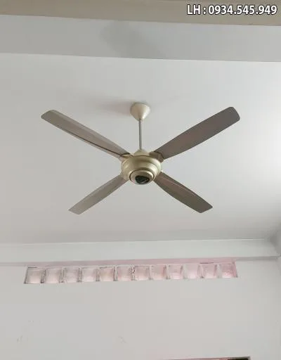 Quạt trần Panasonic F-56MZG