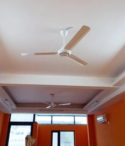 Quạt trần Panasonic F60MZ2-S