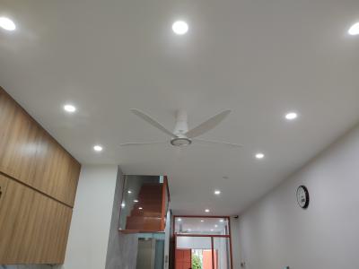 Quạt trần Panasonic F-60TDN