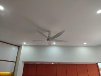 Quạt trần Panasonic F-60TDN