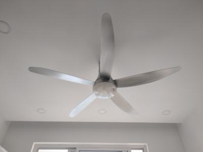 Quạt trần Panasonic F-60UFN