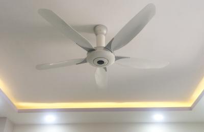 Quạt trần Panasonic F-60WWK