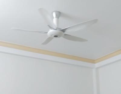 Quạt trần Panasonic F-60WWK