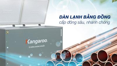 Tủ đông kháng khuẩn 430 lít KGFZ490IG1