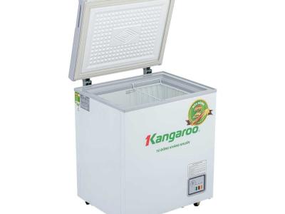 Tủ đông kháng khuẩn 90 lít KG168NC1