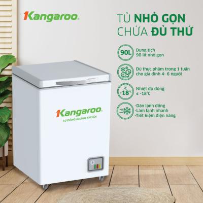 Tủ đông kháng khuẩn 90 lít KG168NC1