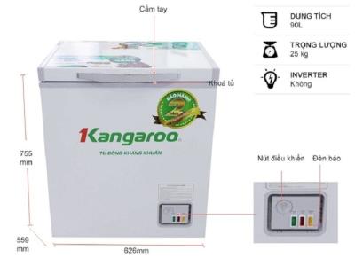 Tủ đông kháng khuẩn 90 lít KG168NC1