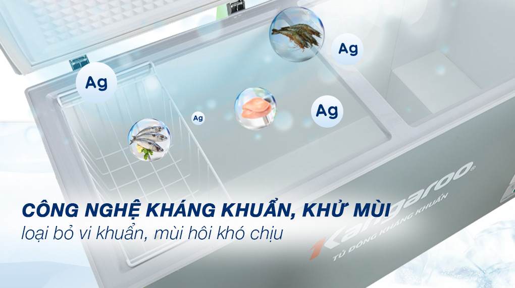 Tủ đông kháng khuẩn 430 lít KGFZ490IG1