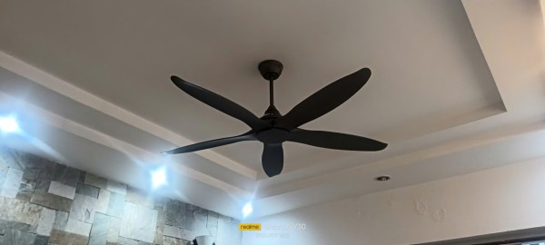 Hồng Nguyễn
