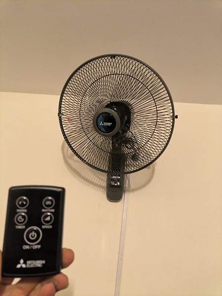 Đào