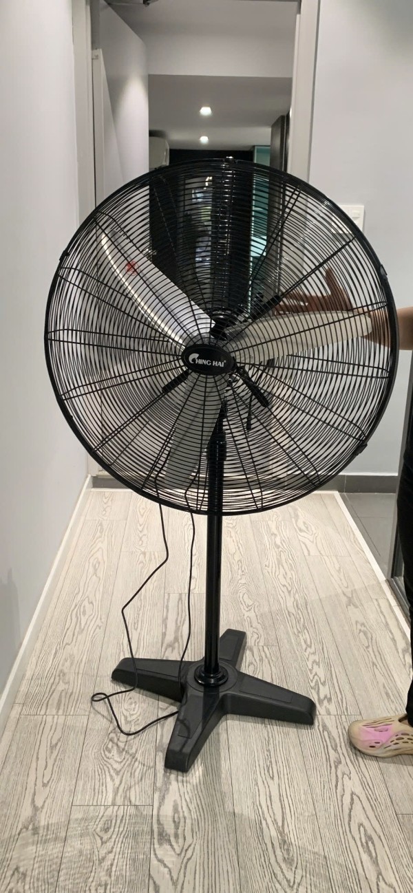 Thương