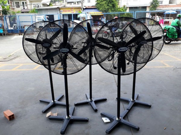Hậu Đoàn