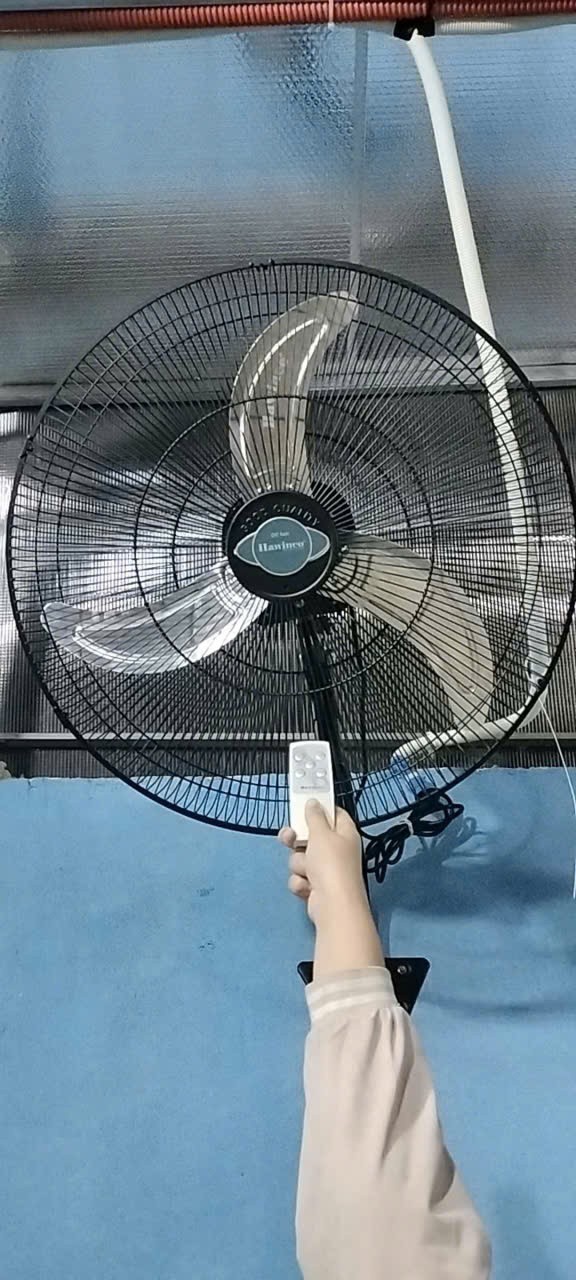 Tạ Thị Phượng