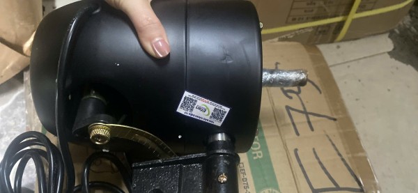 Nguyễn Thị Hậu