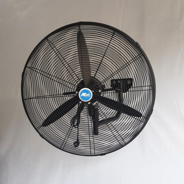 Đặng Thị Minh Phương