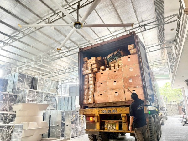 Điện máy long thành