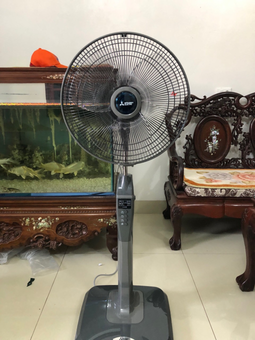 Nguyễn Thị Thuỳ