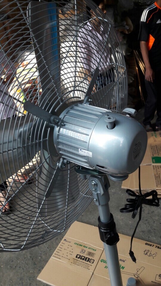 A fan