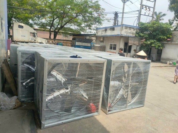 CHĐT Minh Minh Vũng Tàu