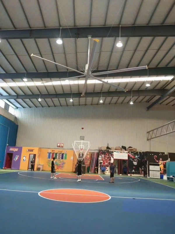 Điện nước như loan