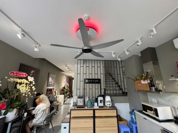 Cửa hàng lê tâm