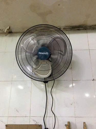 Như Lê