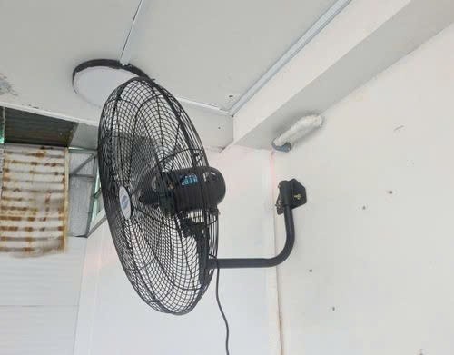 Hải Yến